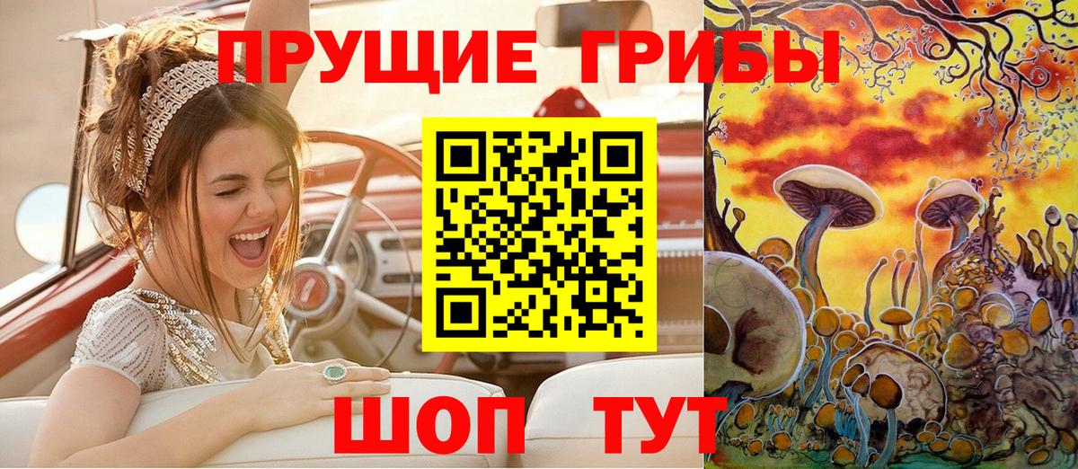 Усть-Джегута  Галлюциногенные грибы Cubensis  Вход с VPN 